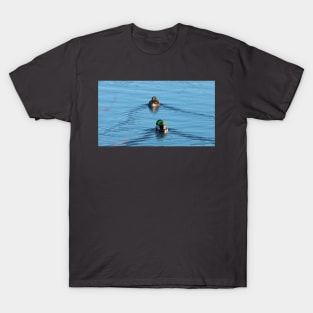 Male and Female Mallard Swimming T-Shirt